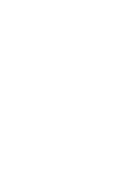 Rock and Roll Fairies